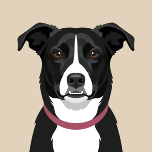 Portrait of Fiona